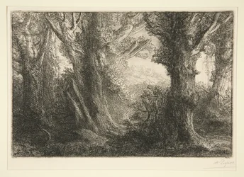 In the Forest of Conteville