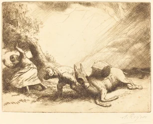 Donkey Upset by Storm