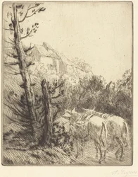 Farm on the Hillside