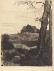 Farm with Large Tree