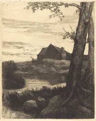 Farm with Large Tree