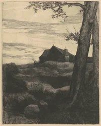 Farm with a Large Tree