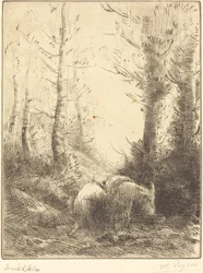 Farmer and His Donkey