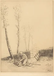 Finding the Sheep