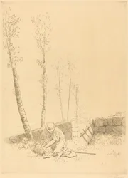 Finding the Sheep