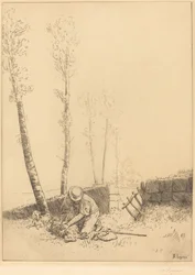 Finding the Sheep