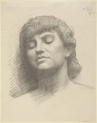 Head