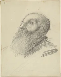 Head of Bearded Man