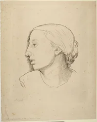 Head of Woman