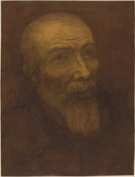 Head of a Bald Man with a Beard