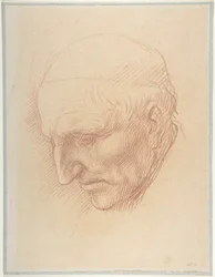 Head of a Beadle
