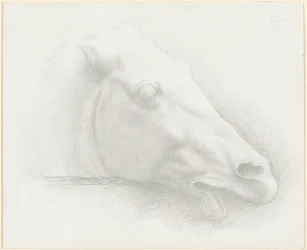 Head of a Horse from the Parthenon