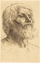 Head of a Man