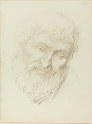 Head of a Man