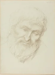 Head of a Man