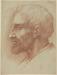 Head of a Man