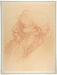Head of a Man