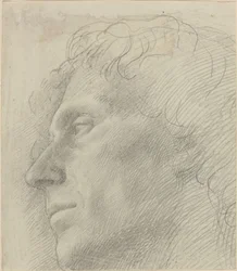 Head of a Man Facing Left