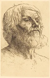 Head of a Man