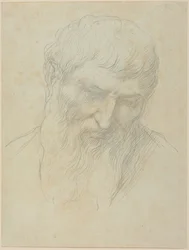 Head of a Man with Curly Hair and Beard