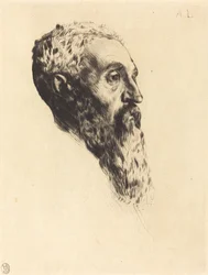 Head of a Model