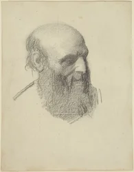 Head of a Bearded Man