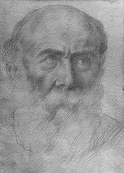Head of a Man