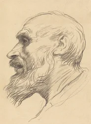 Head of an Old Man