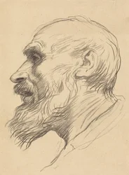 Head of an Old Man