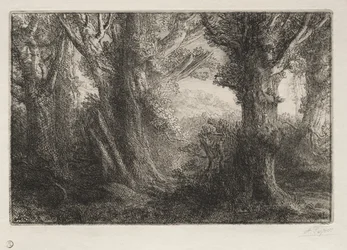 In the Forest at Conteville