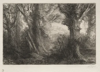 In the Forest at Conteville