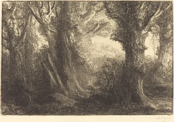 In the Forest of Conteville