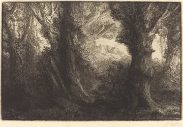 In the Forest of Conteville