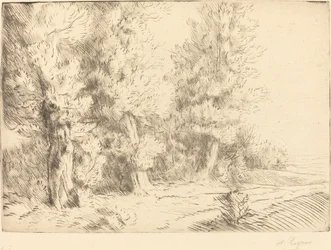 In the Forest of Fontainebleau