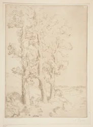 Woman Reading: Lesson under the Trees