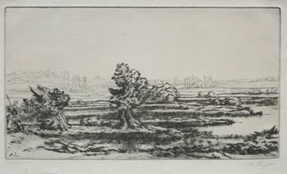 Landscape