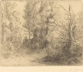 Landscape: Near Chailleux