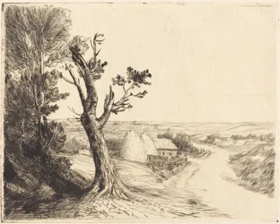 Landscape with Haystacks