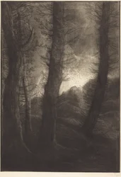 Large Trees Seen against the Sun (The Large Trees: Evening Effect)