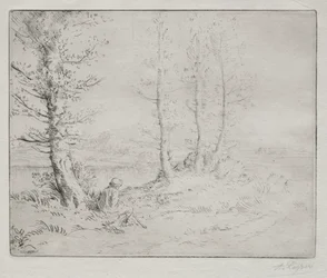 Along the Shore