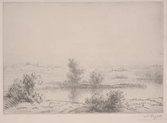 The Marshes