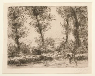 The Banks of the Liane