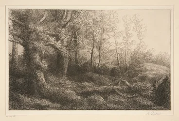 Forest Edge