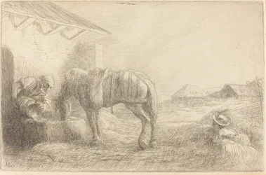 Man Watering a Horse