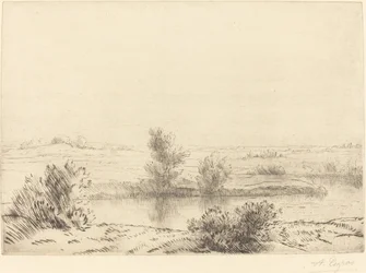 Marsh
