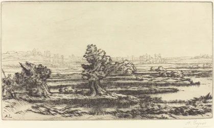 Peat-bogs Les Tourbières.