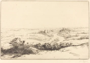 Prospect