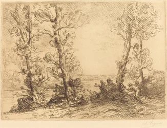 Salmon Fisher
