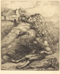 Sleeping Shepherd