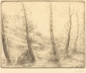 Small Lake